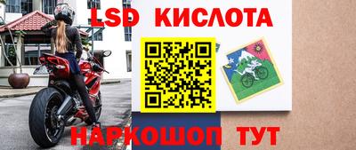 ГАЛЛЮЦИНОГЕННЫЕ ГРИБЫ Гусев