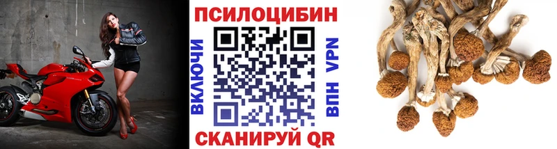 Галлюциногенные грибы мицелий Лянтор